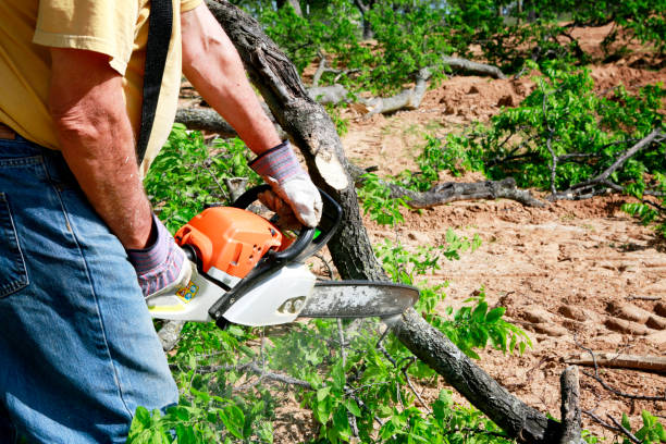 Best Leaf Removal  in Rosebud, TX